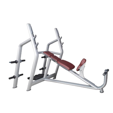 Active Gym Olympic Incline Bench with Weight Storrage