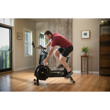 Partner best sale bikeerg workout