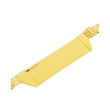 UA Bag Launch Run Belt, Noble Gold 
