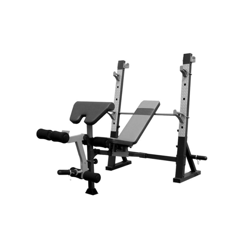 Bench klupa, Professional