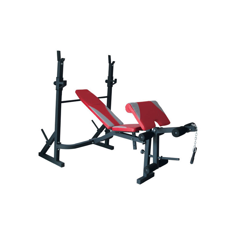 Standard bench pro Telto 