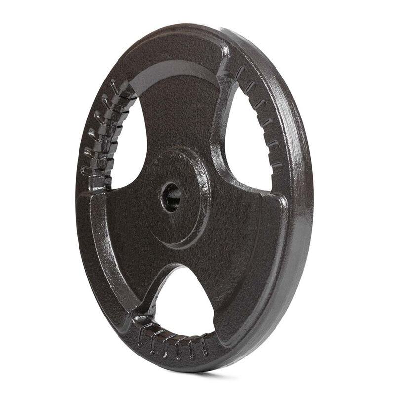 Uteg disk standard 30mm 15 kg