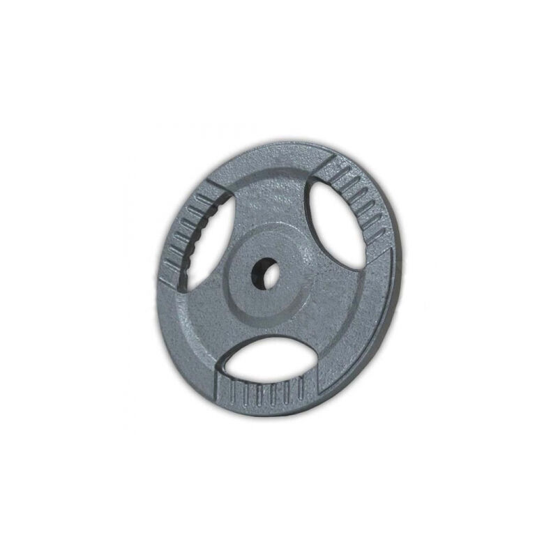 Gewichtescheibe 27 mm, 2,5 kg