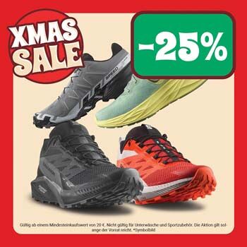 -25% Salomon